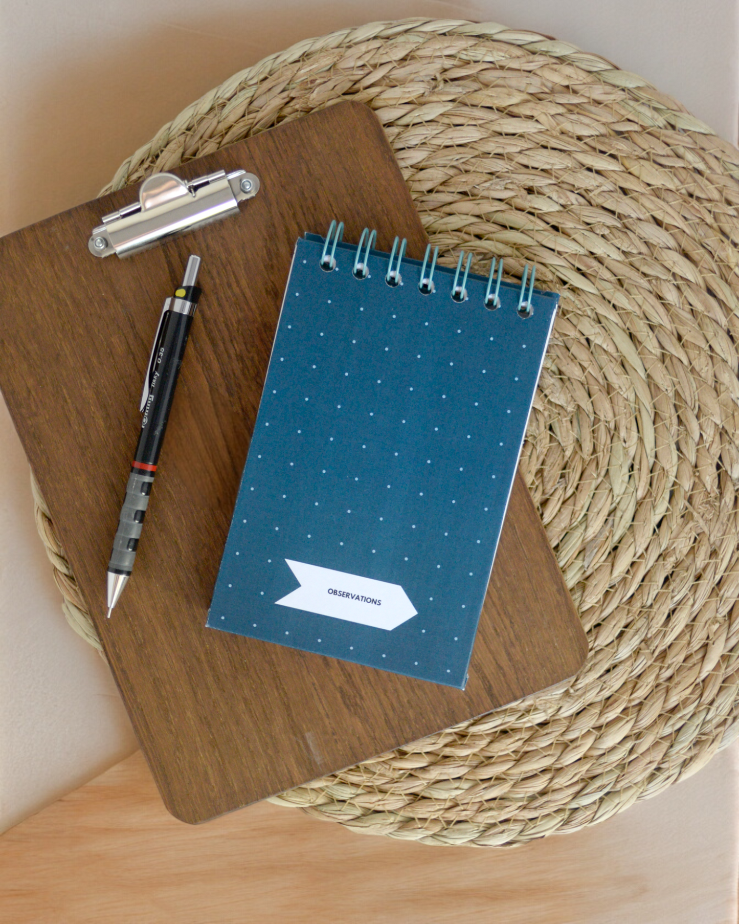 Observations, recycled mini jotter